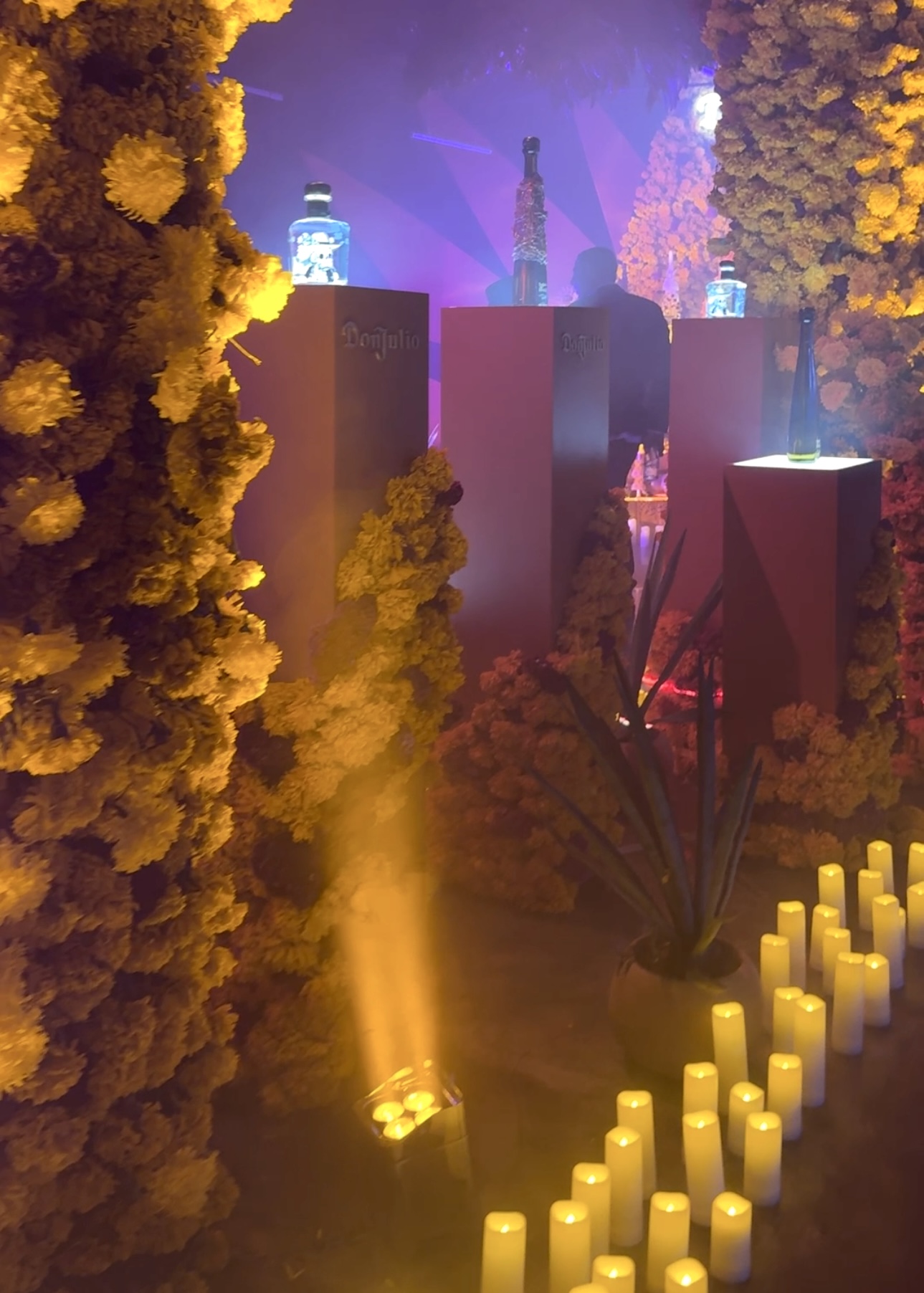 tequila don julio eternos por amor