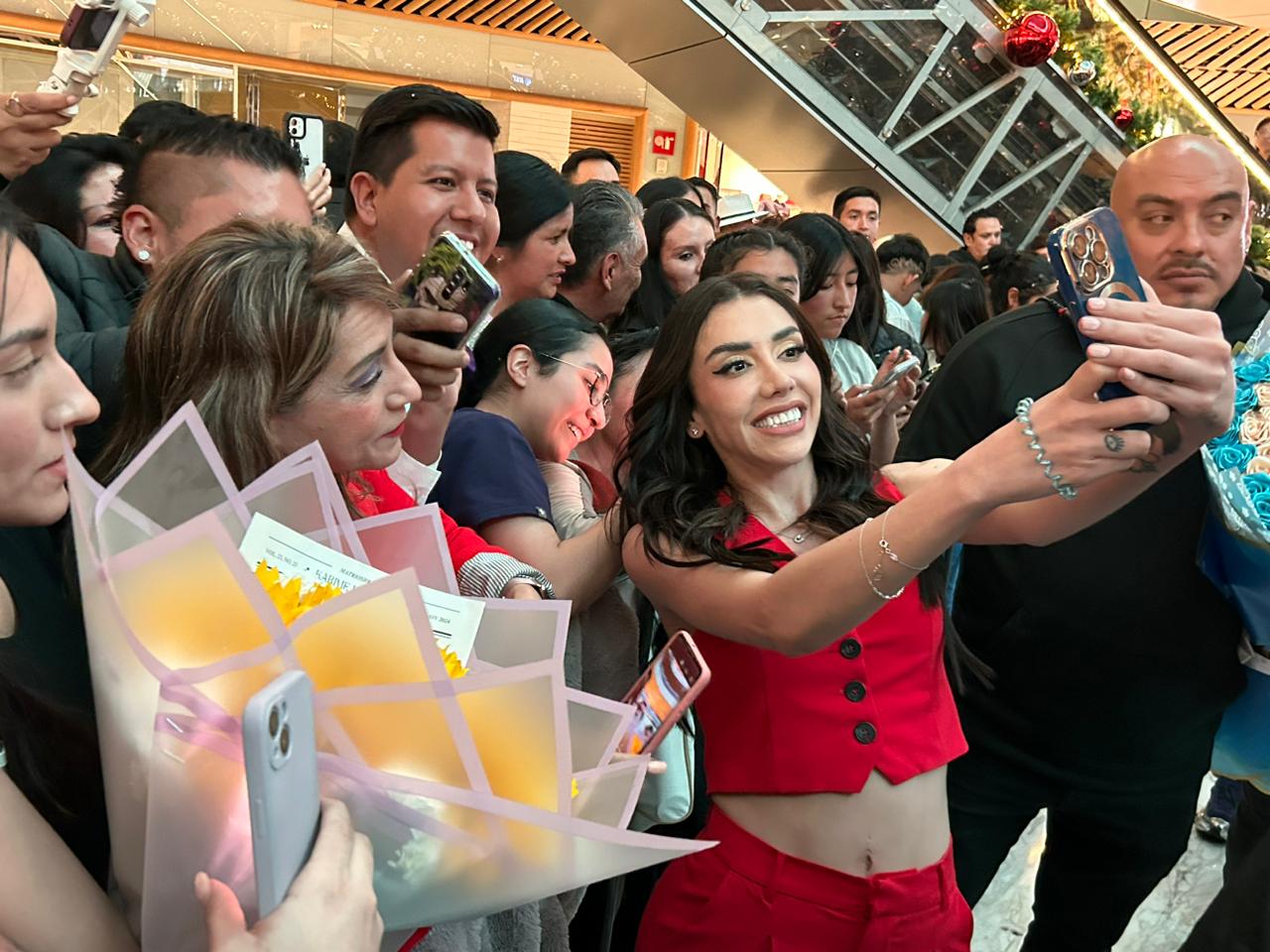 Karime Pindter  manacar arbol de navidad