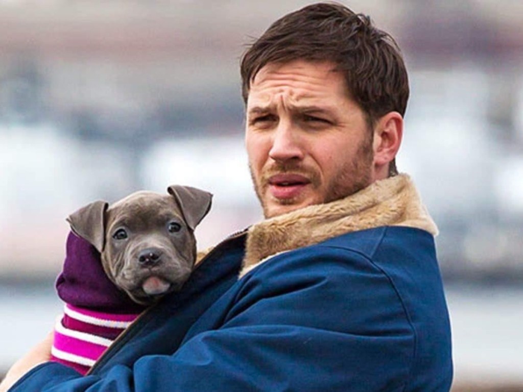 Tom Hardy: uno de los actores comprometidos con la adopción de&nbsp;perritos