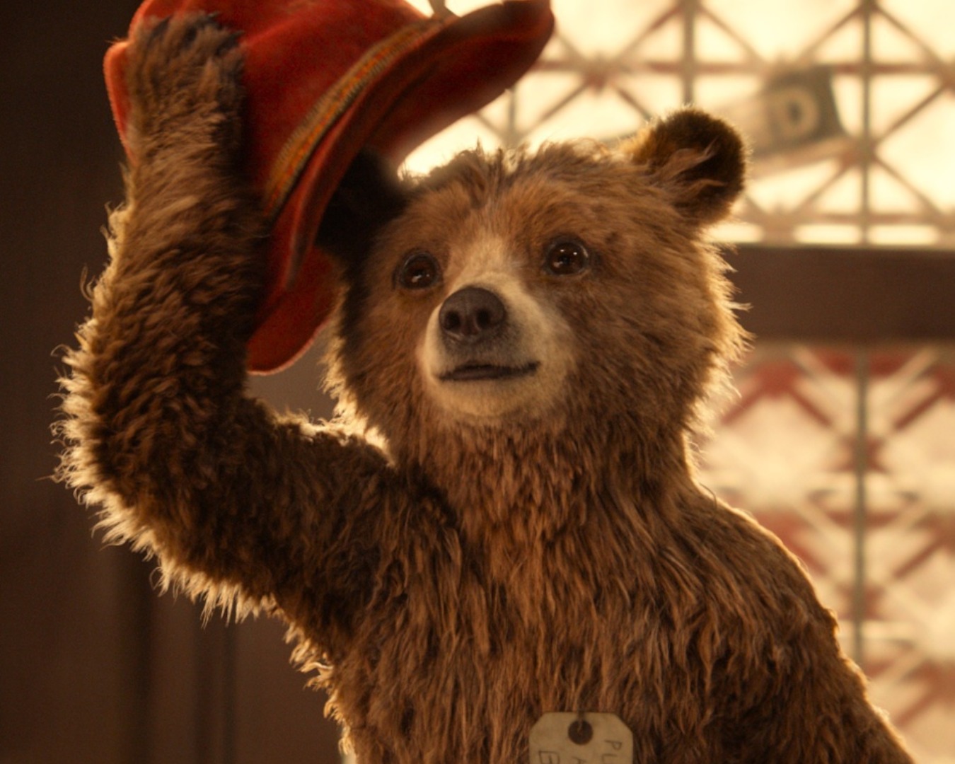paddington estreno