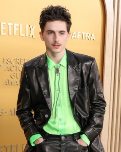 timothee chalamet sag awards 2025