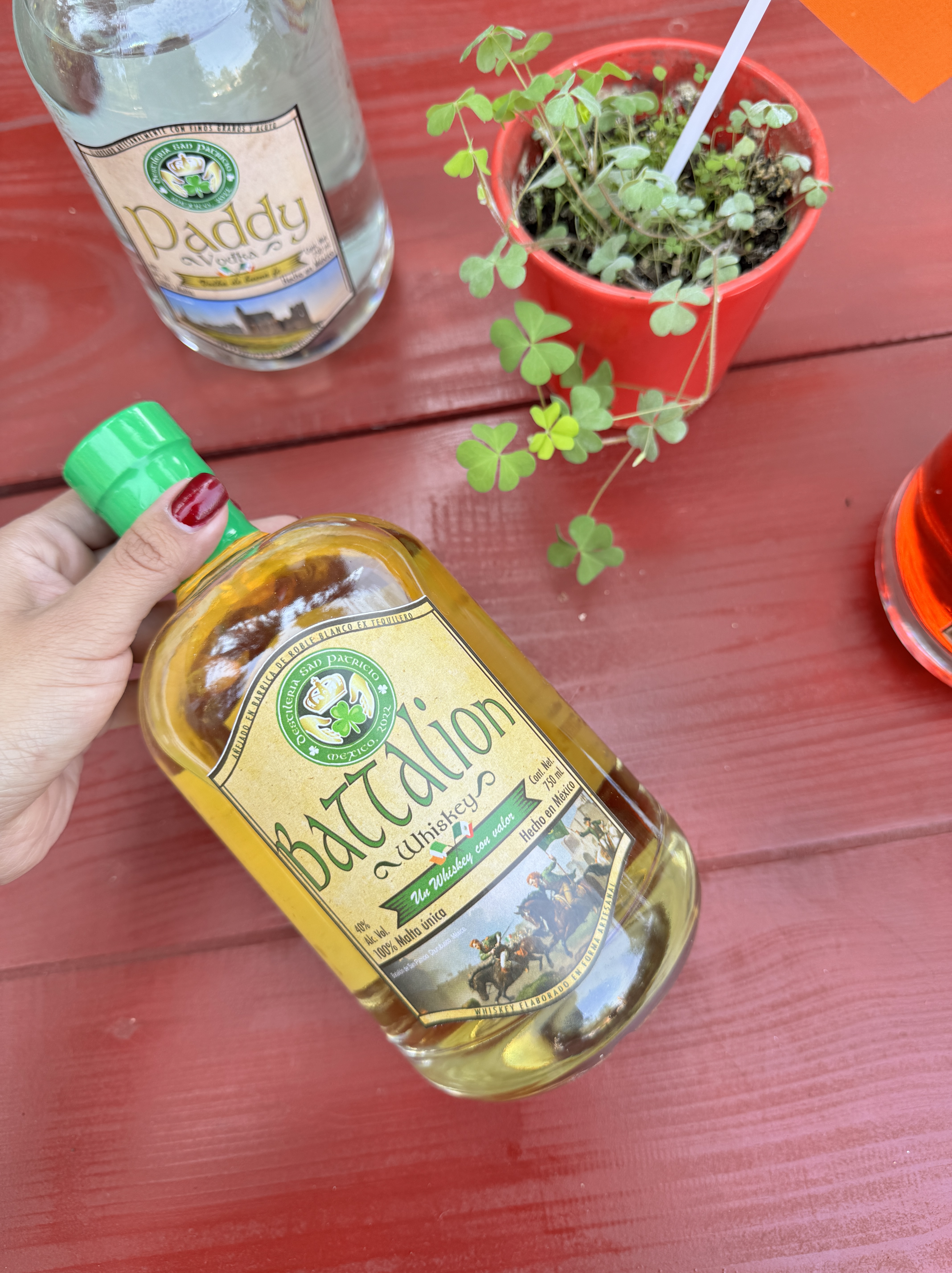 destileria san patricio méxico