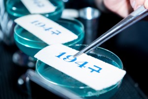 Peggy Gou Tequila don Julio 1942