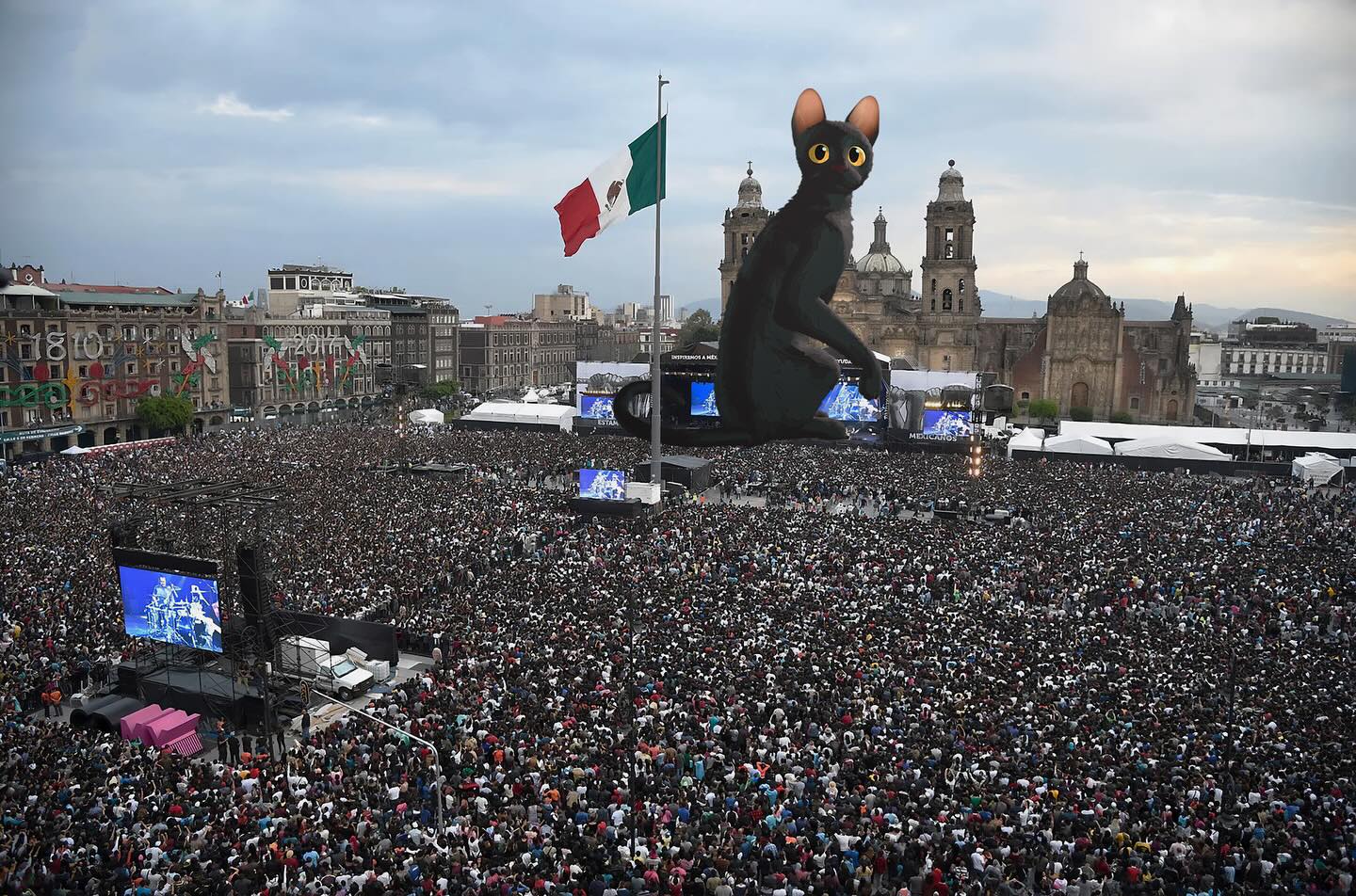 Flow en el Zócalo de la CDMX