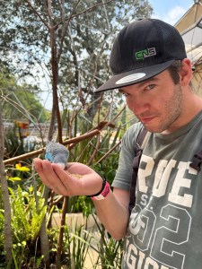 aviario nueva granja las américas