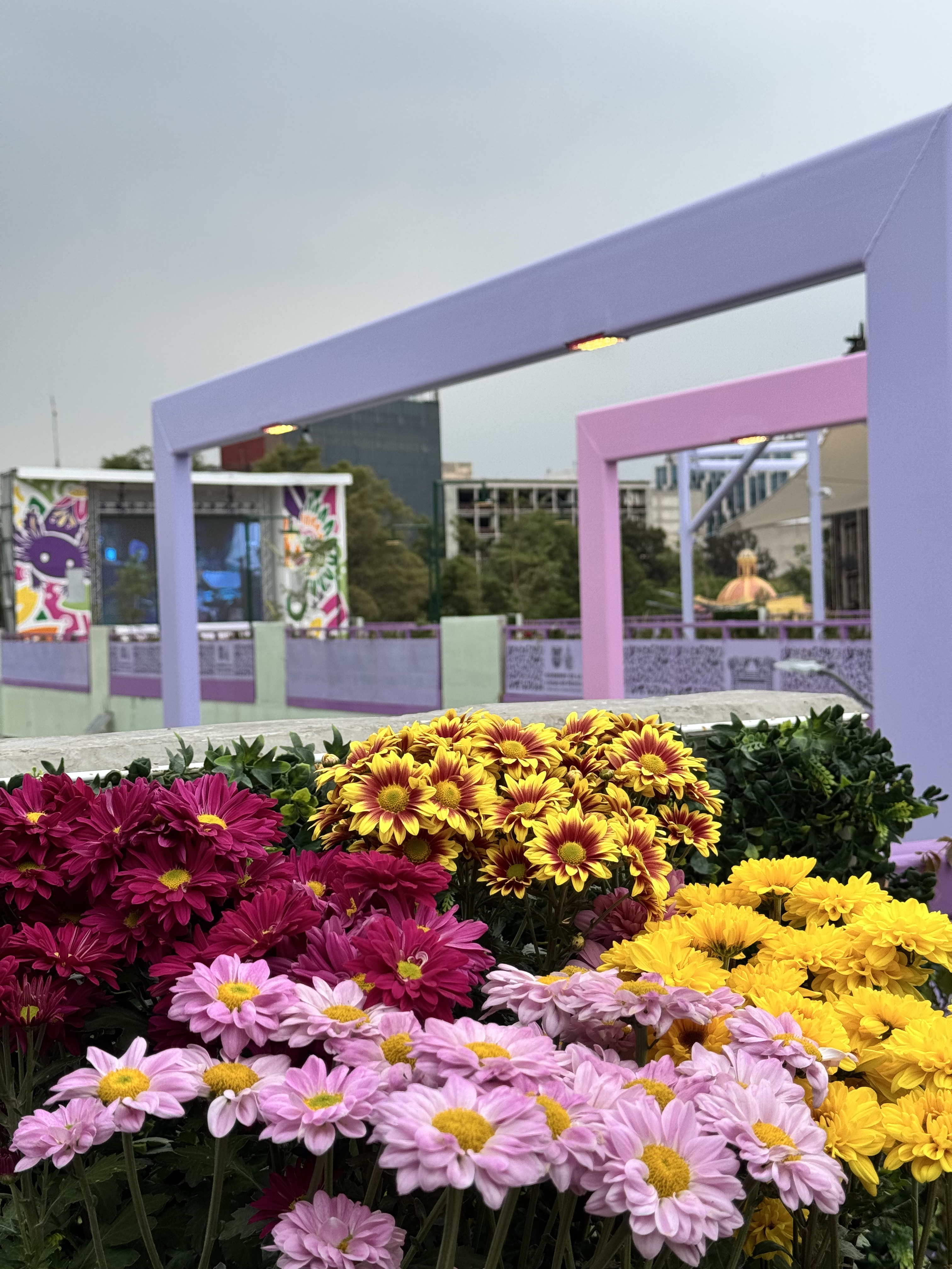 Jardín flotante CDMX